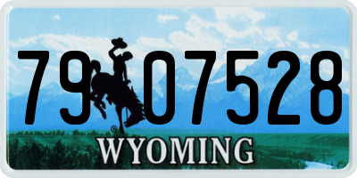 WY license plate 7907528