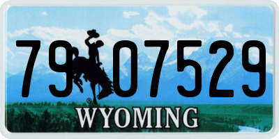WY license plate 7907529