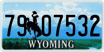 WY license plate 7907532