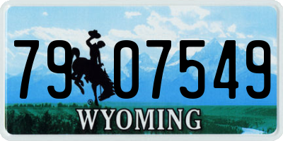 WY license plate 7907549