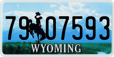 WY license plate 7907593