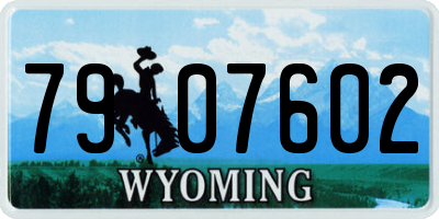WY license plate 7907602