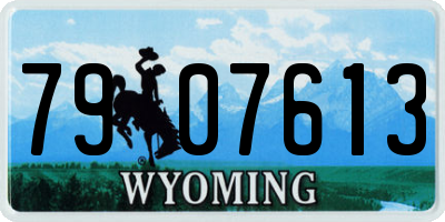 WY license plate 7907613