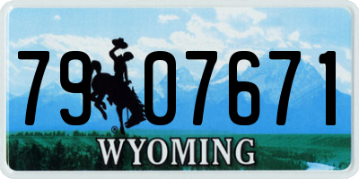WY license plate 7907671