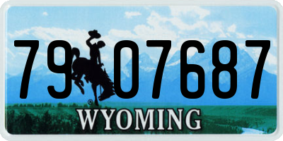 WY license plate 7907687