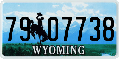 WY license plate 7907738