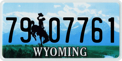 WY license plate 7907761