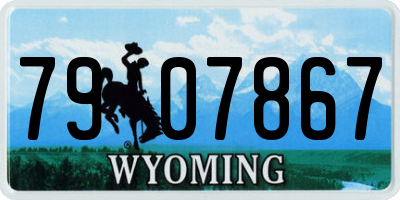 WY license plate 7907867