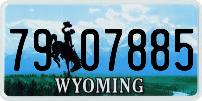 WY license plate 7907885