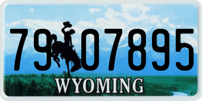 WY license plate 7907895
