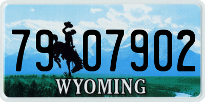 WY license plate 7907902