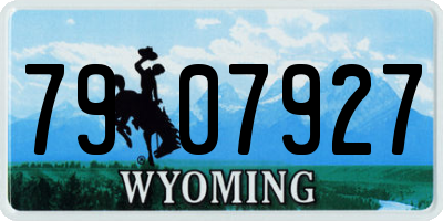 WY license plate 7907927