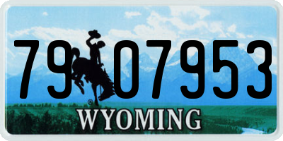 WY license plate 7907953