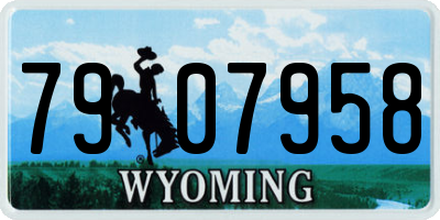 WY license plate 7907958