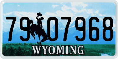 WY license plate 7907968