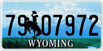 WY license plate 7907972