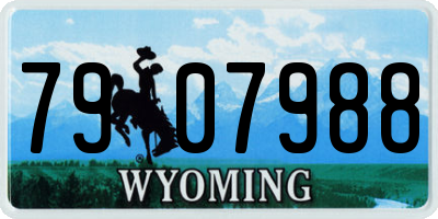 WY license plate 7907988