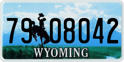 WY license plate 7908042