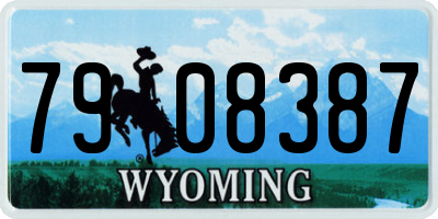 WY license plate 7908387
