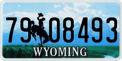 WY license plate 7908493