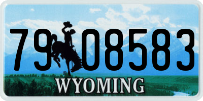 WY license plate 7908583