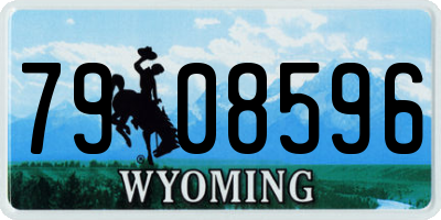 WY license plate 7908596