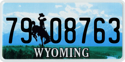 WY license plate 7908763