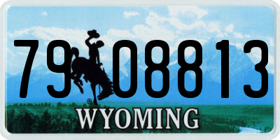 WY license plate 7908813