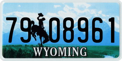 WY license plate 7908961