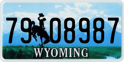 WY license plate 7908987