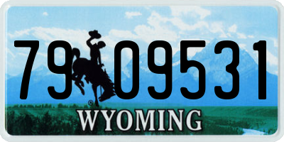 WY license plate 7909531