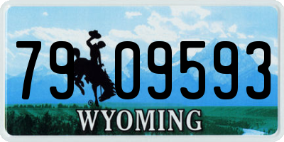 WY license plate 7909593