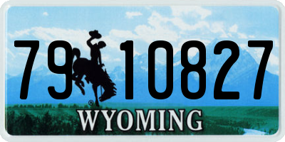 WY license plate 7910827