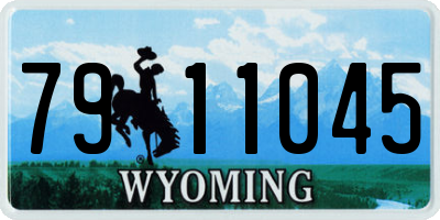 WY license plate 7911045