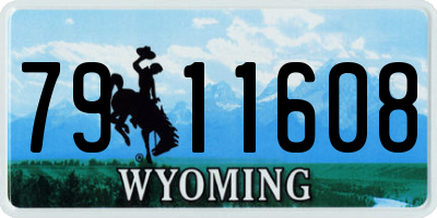 WY license plate 7911608
