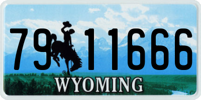 WY license plate 7911666