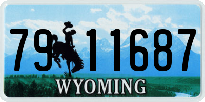 WY license plate 7911687