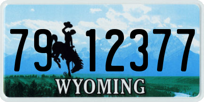 WY license plate 7912377