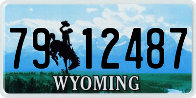 WY license plate 7912487