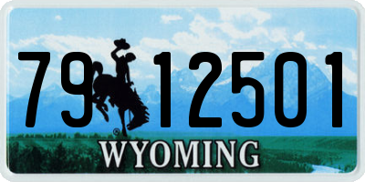 WY license plate 7912501