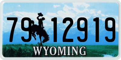WY license plate 7912919