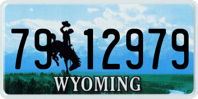WY license plate 7912979