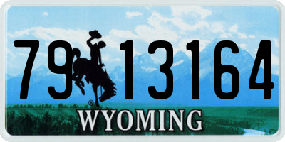 WY license plate 7913164