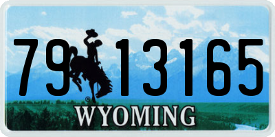 WY license plate 7913165