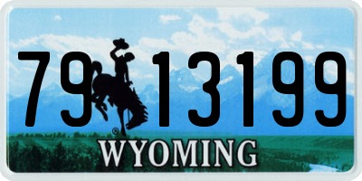 WY license plate 7913199