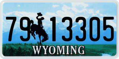 WY license plate 7913305