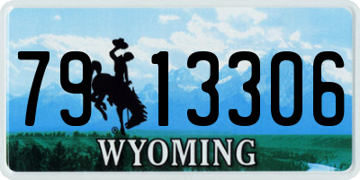 WY license plate 7913306