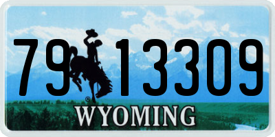 WY license plate 7913309
