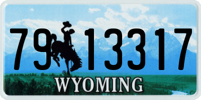 WY license plate 7913317