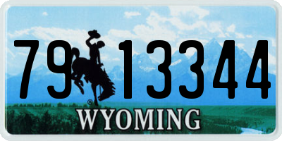 WY license plate 7913344